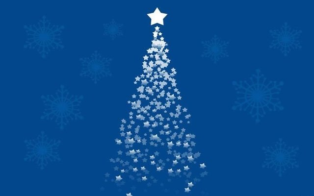 Avviso Bando Asta Pubblica Addobbi Natalizi