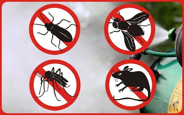 Disinfestazione Territorio Comunale