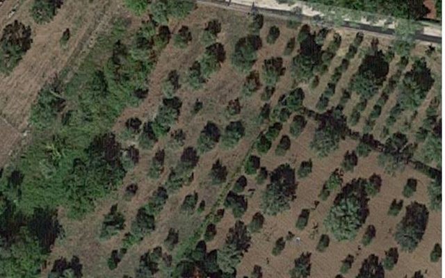 Esiti Bandi di Gara con procedura aperta Vendita per Alienazione Terreni Agricoli e Fabbricato - II Esperimento