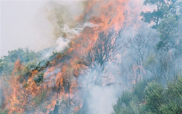 Campagna Antincendi Boschivi 2021