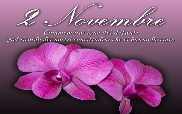 Servizio Trasporto Urbano  2 Novembre 2019