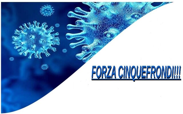 Forza Cinquefrondi!!!