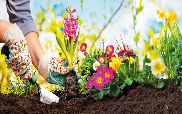 Avviso Bando Assegnazione orti e aiuole sociali